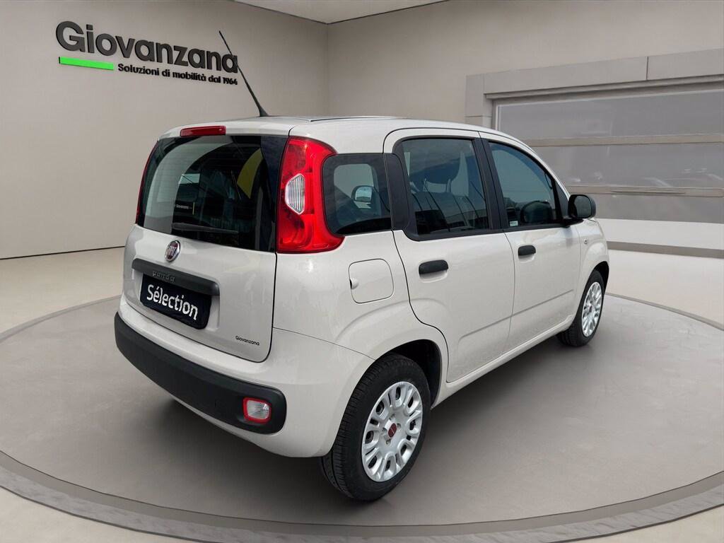 FIAT Panda 1.2 Easy 69cv E6 NEOPATENTATI